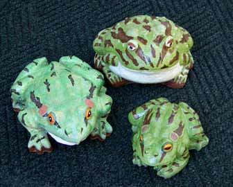 Three Toad Frogs